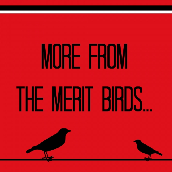 more-from-the-merit-birds.jpg