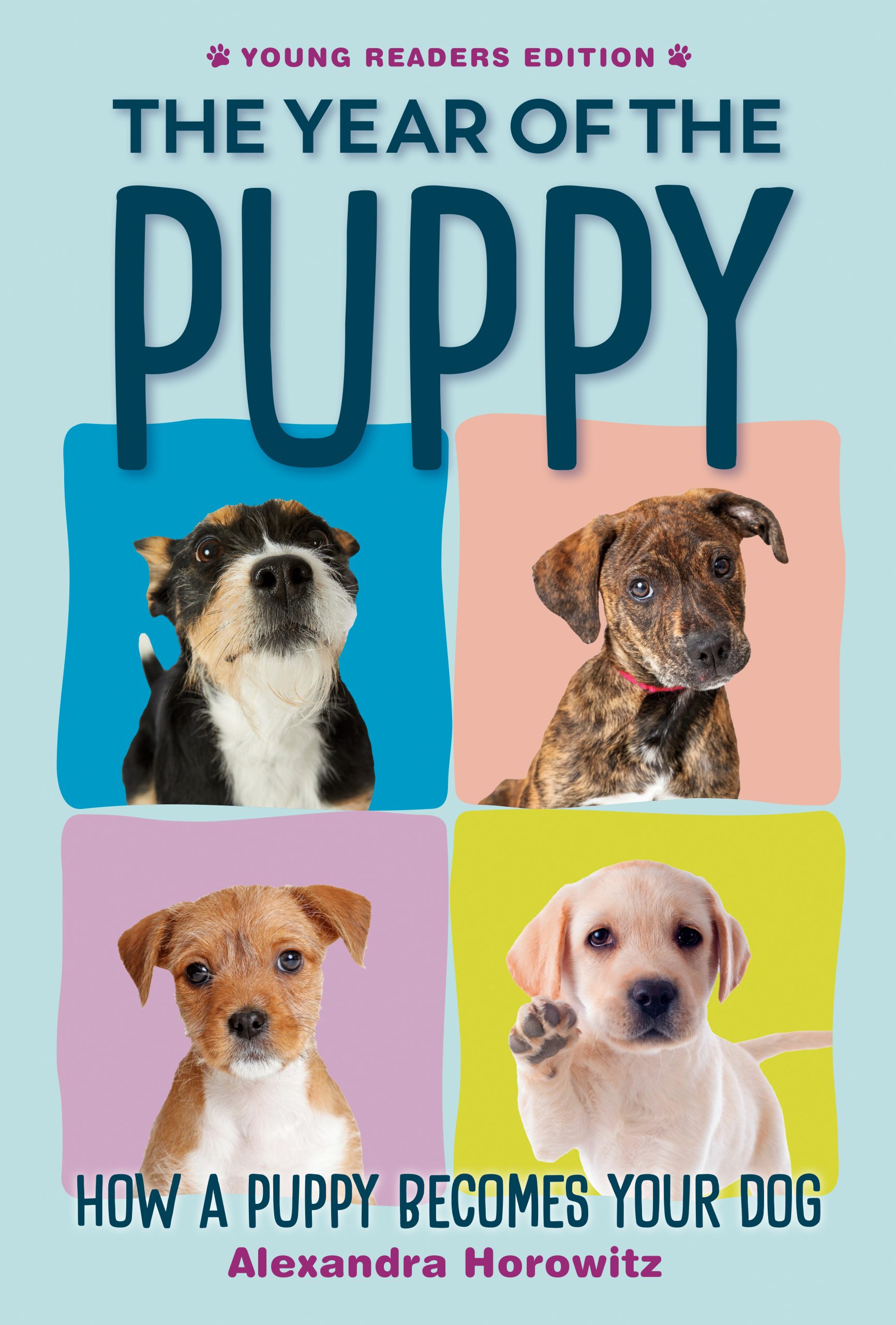 Spotlight on THE YEAR OF THE PUPPY: HOW A PUPPY BECOMES YOUR DOG (Alexandra Horowitz), Excerpt & Giveaway ~ US Only!